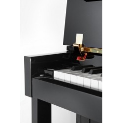 P 122 N2 Petrof piano - Hanlet Brussel