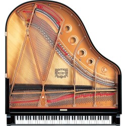 C1XEN Enspire Disklavier Yamaha Hanlet Bruxelles