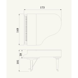 Yamaha C2X Enspire (disklavier)  vleugel piano - Piano Hanlet Brussel