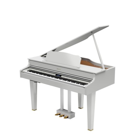 Roland GP6  PWH digital Piano - Pianos  Hanlet Bruxelles