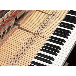 Premium Yamaha SU7 Silent  chez Pianos Hanlet Bruxelles 