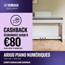 Yamaha Arius YDP145 Pianos Hanlet