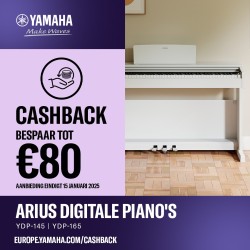 YDP 145 Yamaha digital piano - Hanlet Brussels