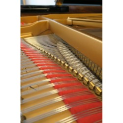 Steinway B-211 - Pianos Hanlet Bruxelles