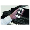 Yamaha Clavinova CLP-895GP Hanlet Brussel