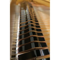 Steinway B-211 occasion garantie