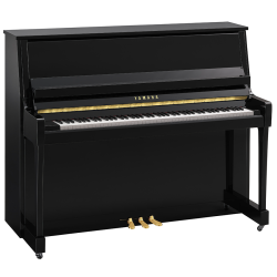 Yamaha B30 - Hanlet Bruxelles