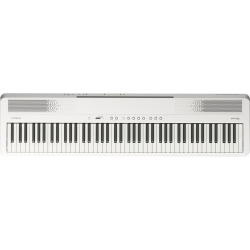 Roland FP-40  Digital Piano chez Piano Hanlet Bruxelles & Waterloo